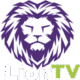 Lion TV - Boutique IPTV officielle Lion